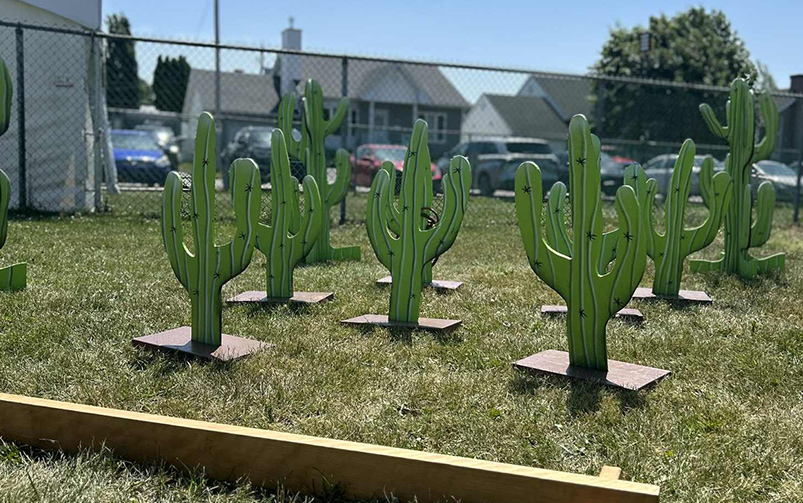 Cactus